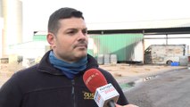 Incendio provoca daños en una fábrica de aceitunas en Almendralejo
