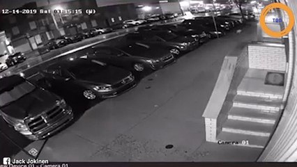 Il retrouve un chien affamé et apeuré dans son salon...