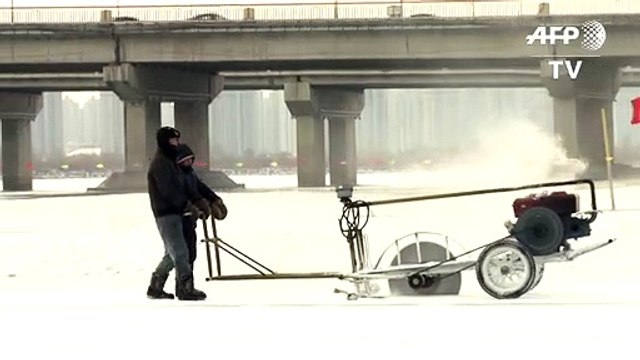 عمال يتحدون الصقيع لاستخراج مكعبات ستستخدم في أكبر مهرجان جليدي صيني