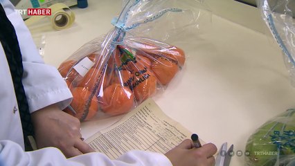 Güvensiz gıdaya geçit yok