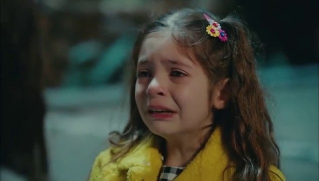 Дочь посла 1 серия смотреть онлайн турецкий сериал 2019-3