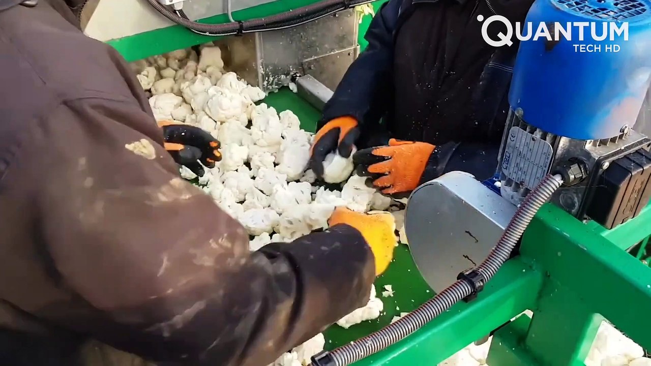 다른 수준의 현대 농업 기계