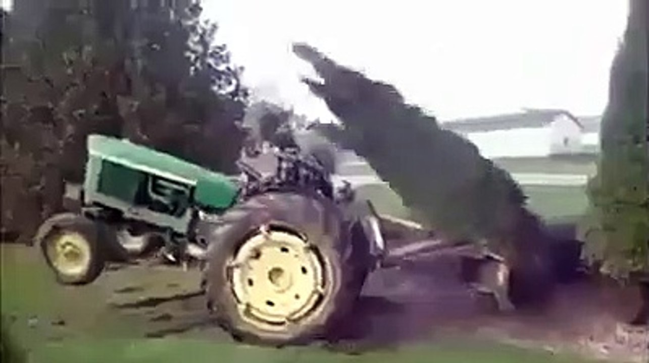 AĞAÇ ADAMI DÖVÜYOR ... :))