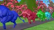Learn Colors and Animals Names With Colorful Animals for Kids Elephant Horse Chicken Animals