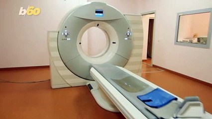 Do Dogs Count? Science Says Yes