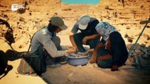 Tarihe Yakından Bakış _⁄ Petra Antik Kenti (Belgesel)
