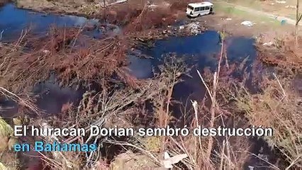 AFPTV repasa las principales historias climáticas de 2019