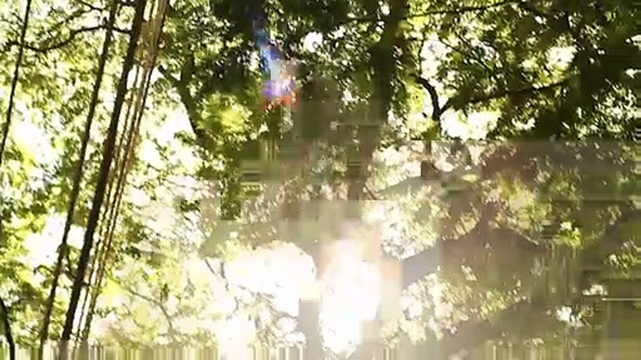 Momentos Roubados - Teaser