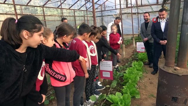 Minikler Kurdukları Serada Organik Sebze Yetiştiriyor