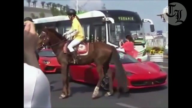 Ce cheval déteste les Ferrari... gros coup de sabot