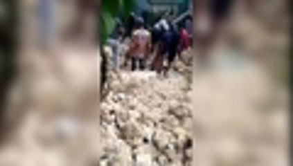 Qhubo-a3f8cd4c-12bc-4e16-bbd3-f67546cf1119-hd-web.mp4