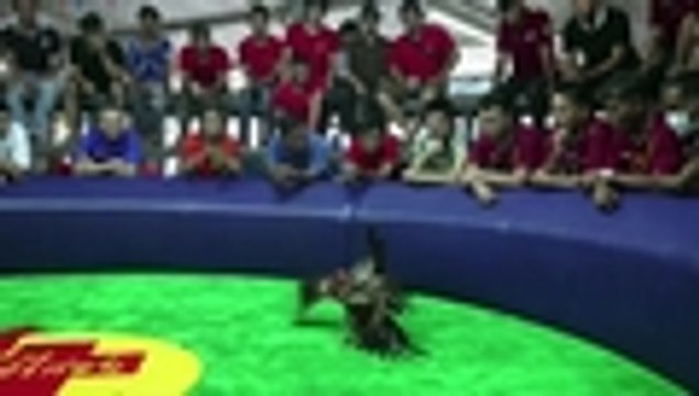 Qhubo-a154d065-dc0b-4713-a64e-4a58af3b0b0b-hd-web.mp4