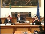Roma - Audizioni su Alitalia (18.12.19)