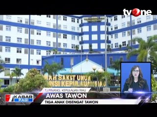 Tiga Anak Diserang Tawon, Satu Balita Tewas