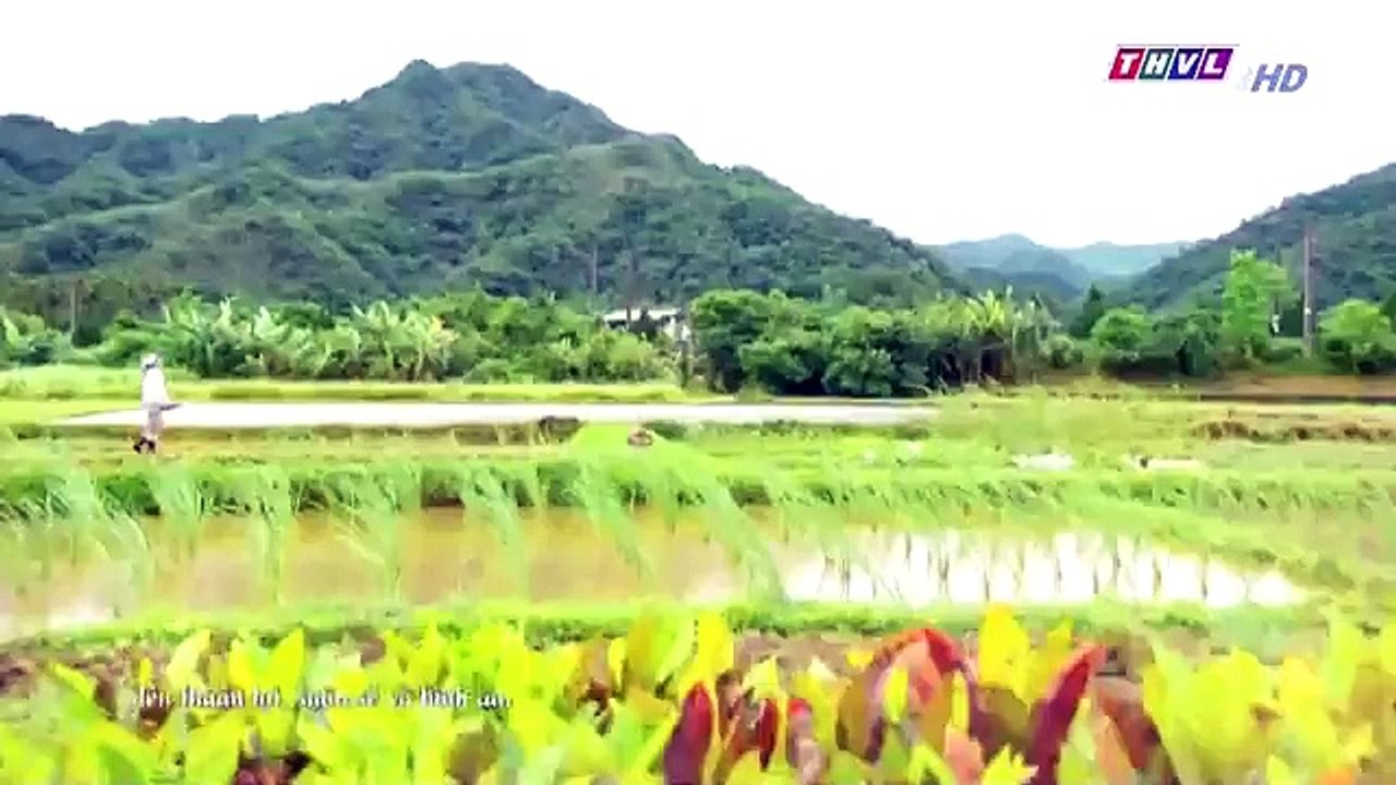 Đại Thời Đại Tập 268 - Phim Đài Loan Tap 269 - THVL1 Lồng Tiếng - Phim Dai Thoi Dai Tap 268