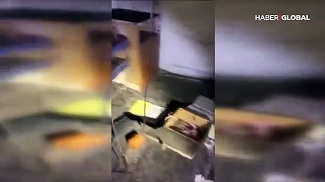 PKK'ya ait 2 yeni sığınak ele geçirildi