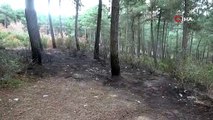 Aydos Ormanı'nda üç ayrı noktada yangın çıktı