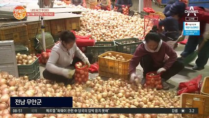 [네트워크 투데이] 전남 무안 영농조합, 양파 수출단지로 지정돼