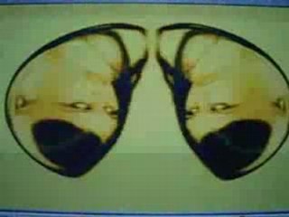 experiment with sonic youth