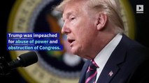 President Donald Trump Is Impeached by House of Representatives