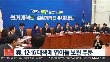 與, 12·16 대책에 연이틀 보완 주문