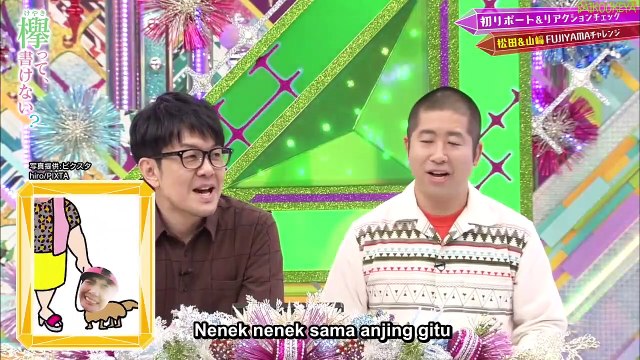 Keyakitte Kakenai ep 210 (Sub indo)