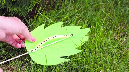 ¡COSAS QUE HACER CUANDO ESTÁS ABURRIDA! 15 IDEAS