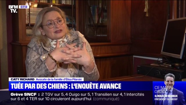 Mort d'Elisa Pliarski: les enquêteurs écartent la piste du promeneur et de son malinois
