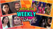 Top 10 Marathi Entertainment News | Weekly Wrap | Urmila Kanitkar Kothare, Rinku Rajguru