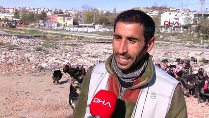 Yeni yıla yaklaşırken hindi satışları başladı