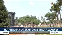 Hutan Kota Plataran, Oase di Kota Jakarta