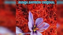 SUPER !! WA :  62 812-3252-2251 (Tsel),Jual Putik Bunga Saffron Super Samarinda Aceh,