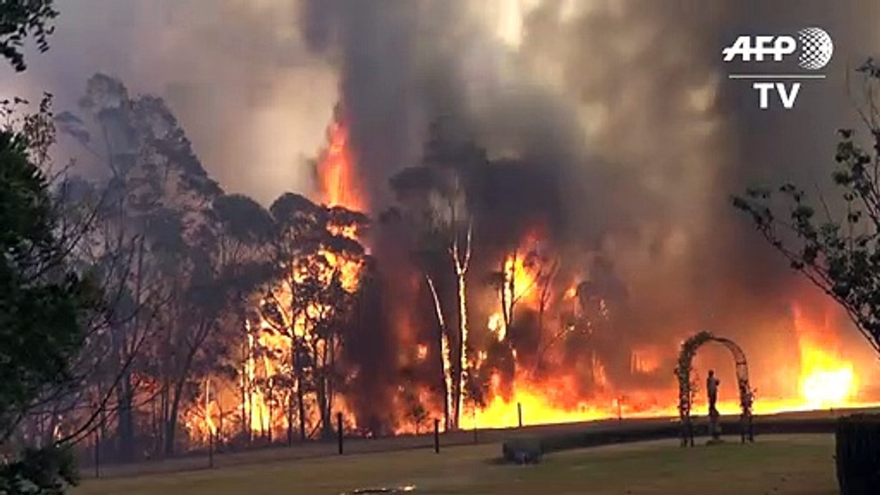 Ausnahmezustand wegen Buschbränden in Australien