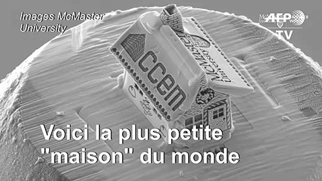 La plus petite "maison" du monde... plus petite qu'un cheveu !