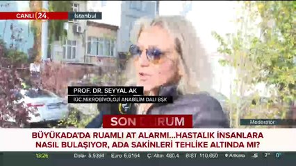 Büyükada sakinleri tehlike altında mı?