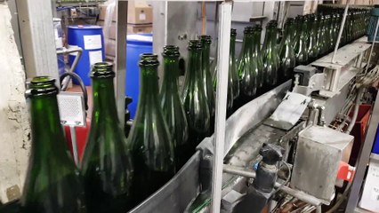 DNA - Préparation et stockage des bouteilles de crémant  pour maturation chez Arthur Metz (Marlenheim)