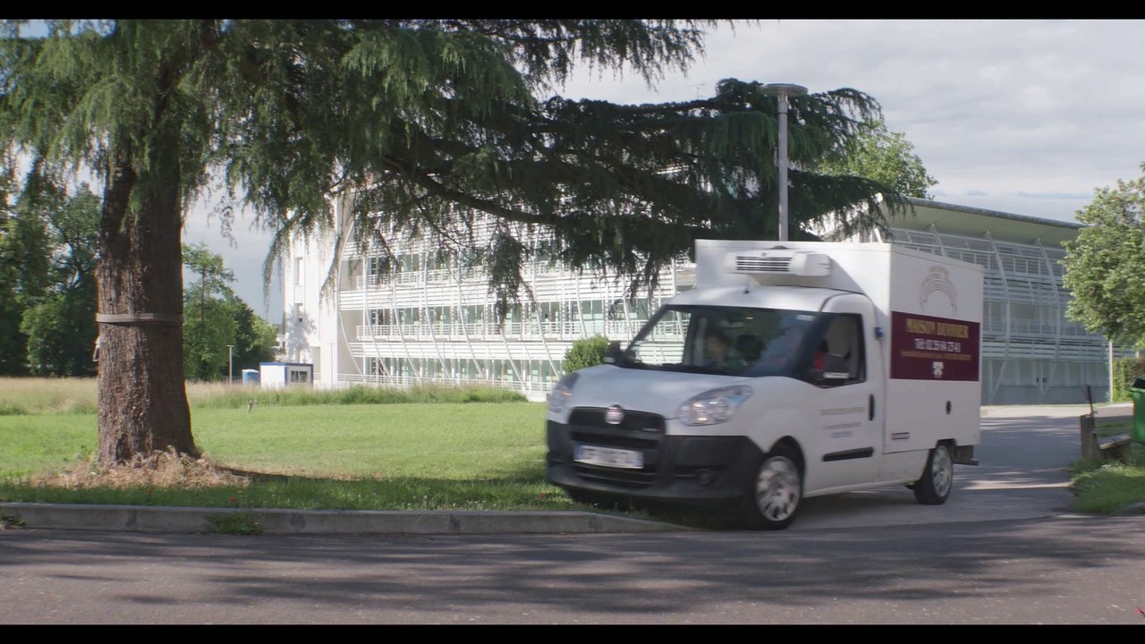 By a Hair / Pile poil (2018) - Trailer