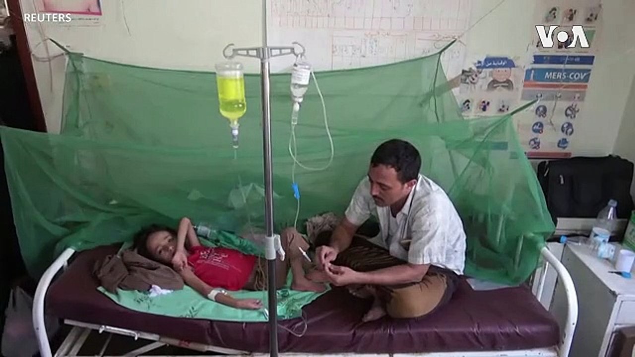 Yemenis Face a New Battle Against Dengue Fever