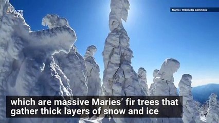'Snow Monsters' Take Over a Ski Resort in Japan Every Winter