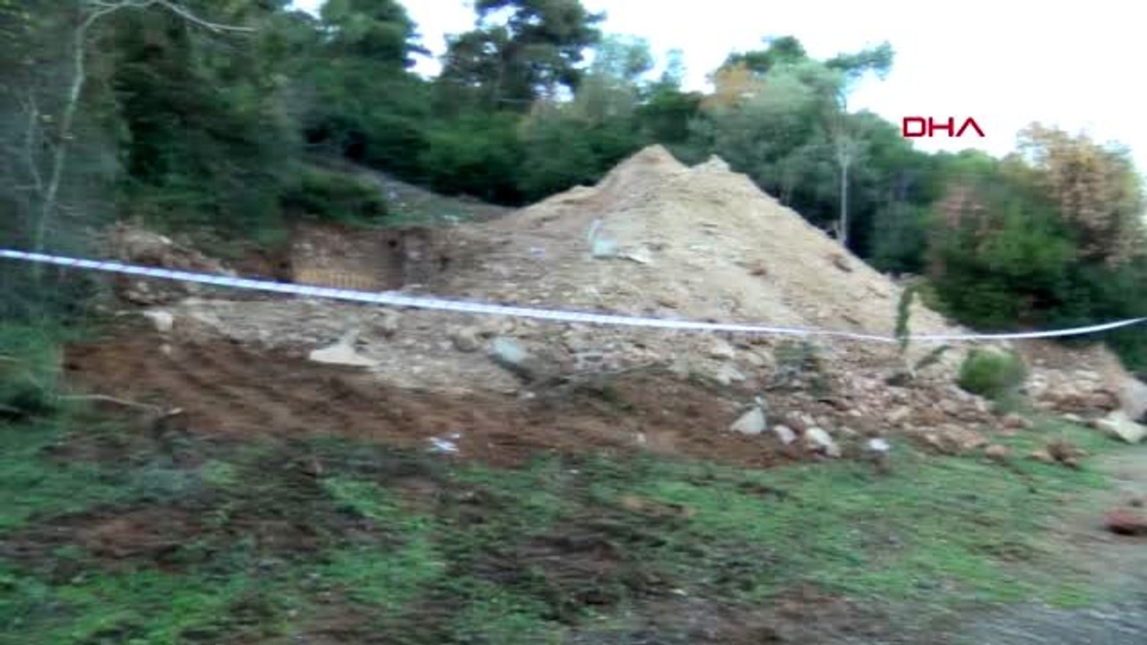 Adalar kaymakamlığı ruam hastalığı tespit edilen 81 at itlaf edildi