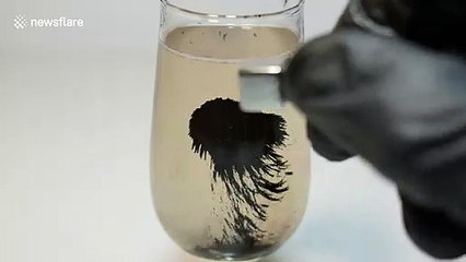 Scientist creates mesmerising experiment using metal powder, magnets and water