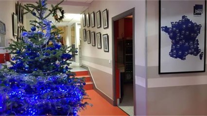 Vue de chez vous: les sapins de Noël