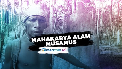 Musamus, Sarang Semut Mahakarya Alam Merauke
