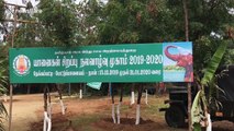 48-day rejuvenation camp for elephants begins in Southern India