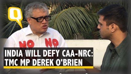 'Modi's Problem Now is the Youth Being Very Angry': TMC's Derek O'Brien