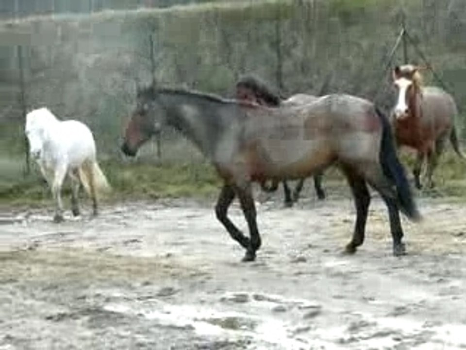 Club 14.01.08 001