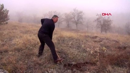 Kırıkkale arıların verimini artırmak için 1700 lavanta ekti