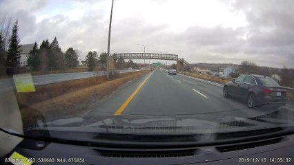 Seagull Flies Away After Slamming into Car