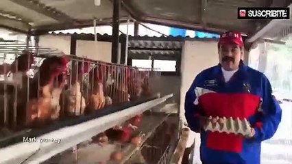 Maduro, rodeado de gallinas, pide a los venezolanos que monten granjas en casa para no morir de hambre