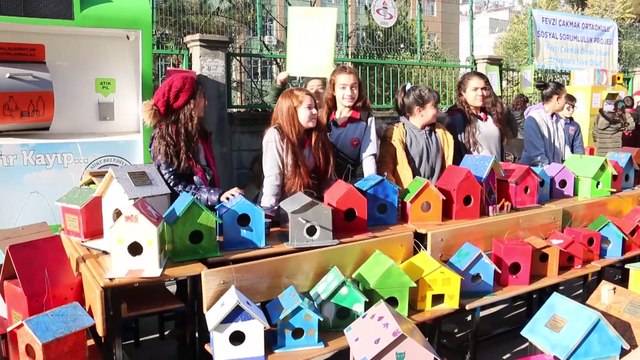 Öğrenciler kuş ve kedileri sıcak yuvaya kavuşturdu - SİİRT